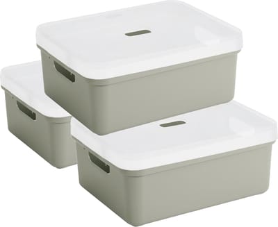 Sunware opbergbox - 3x stuks - 24 liter - lichtgroen - kunststof - transparante deksel - 45x35x18 cm - Sigma serie