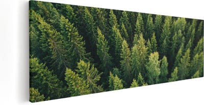 Artaza Canvas Schilderij Bomen - 60x20 cm - Wanddecoratie Bos Vanuit De Lucht - Muurdecoratie Natuur - Kamer Accessoires Landschap