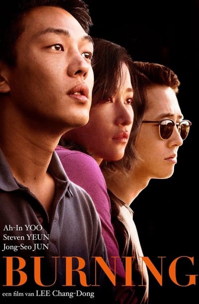 Burning (DVD)