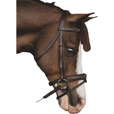 Bridon Paardrijden Muserolle Gecombineerd met Bit Equiline poney
