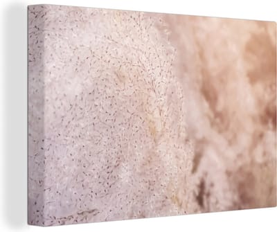 Canvas Schilderij Pampasgras - Structuur - Planten - Natuur - 30x20 cm - Wanddecoratie