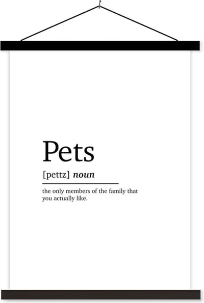 Posterhanger incl. Poster 60x80 cm - Schoolplaat - Huisdieren definitie - Quotes - Spreuken - Pets - Woordenboek - Textielposter - Zwarte latten
