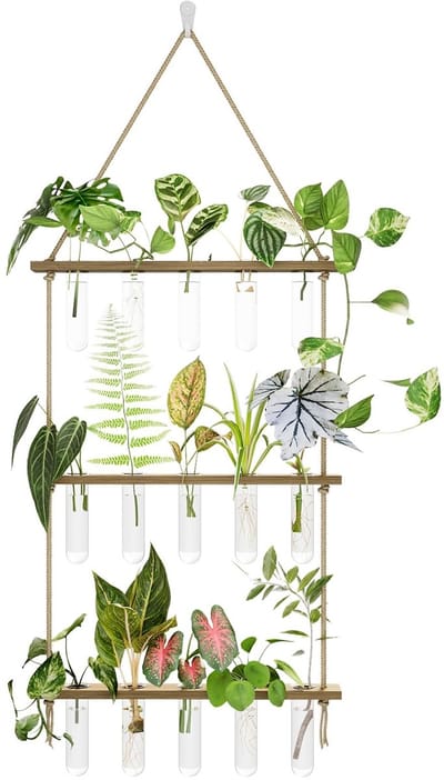 Dailygoods - Bamworld Propagatiestation met Houten Standaard, 5 Glazen Reageerbuisjes Wandplanten Houder, 3 Laags Terrarium voor Huis Kantoor, Hydroponische Stekken Vaas