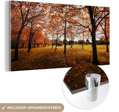 MuchoWow® Glasschilderij 40x20 cm - Schilderij acrylglas - Herfst - Herfstbladeren - Natuur - Foto op glas - Schilderijen