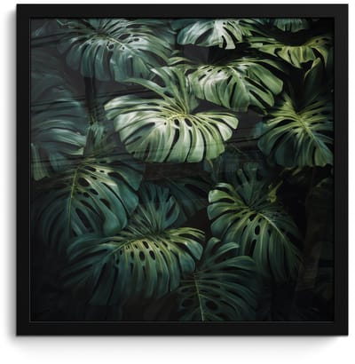 Poster in lijst - Fotolijst 40x40 cm - Posters - Plant - Monstera - Lichtinval - Posterlijst zwart - Decoratie - Wanddecoratie woonkamer - Muurdecoratie slaapkamer