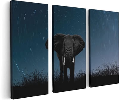 Artaza Canvas Schilderij Drieluik Olifant Omringd Met Sterren  - 120x80 - Foto Op Canvas - Canvas Print
