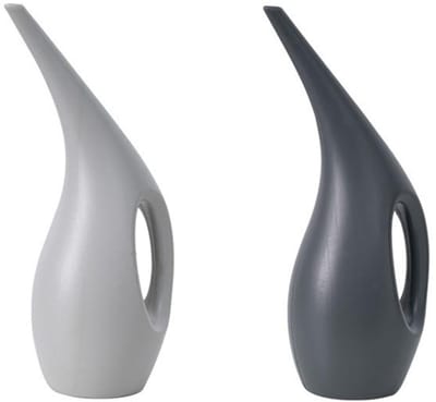 Dailygoods- Gieter 1,5 Liter - Gieter voor Binnen/Buiten - Robuuste Irrigatiefles - Lichtgewicht - Handvat - Geschikt voor Tuinieren/Balkonbewatering - Bewateringskan