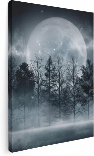 Artaza Canvas Schilderij Bos Bij Nacht - 30x40 cm - Klein - Wanddecoratie Maan - Muurdecoratie Landschap - Kamer Accessoires Mist