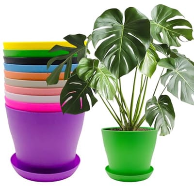 Kleine Kleurrijke Bloempotten 14 cm voor Planten en Decoratie
