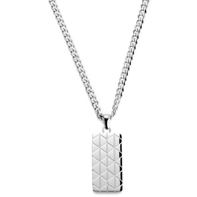 Icarus Brayden Stalen Dogtagketting