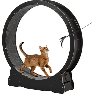 Roue d'exercice pour chat, Roue de course en bois pour chat de 132 cm pour chaton d'intérieur jusqu'à 12,7 kg, Tapis roulant pour chats avec piste recouverte de tapis et mécanisme de verrouillage, Chat silencieux