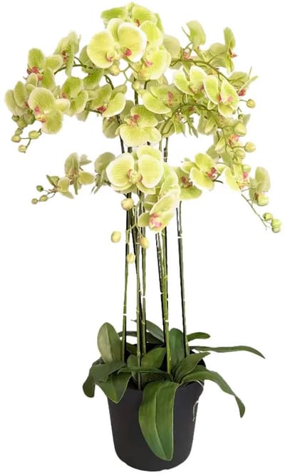 Orchidee Kunstplant 9-tak 110 cm - Groen