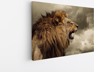 Saammp Canvas Schilderij - Grommende Leeuw - Dieren - Natuur - 45x30 - Foto op canvas - Wanddecoratie - Muurdecoratie Woonkamer - Slaapkamer decoratie - Canvas Print