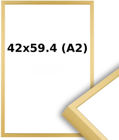 Aluminium Wissellijst A2 42 x 59.4 Mat Champagne Goud - Ontspiegeld Glas - Professional