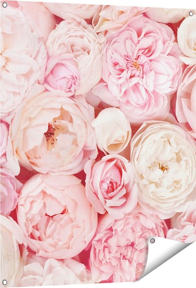 Gards Tuinposter Witte Roze Rozen Boeket - Bloemen - 80x100 cm - Tuindoek - Tuindecoratie - Wanddecoratie buiten - Tuinschilderij
