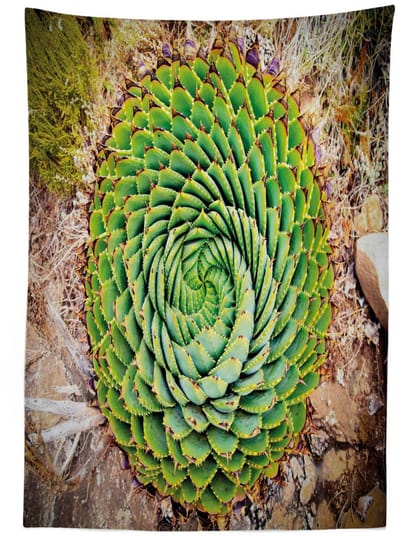 ABAKUHAUS Tafelkleed – Aloë polyphylla vera – 140x240 cm – multicolor