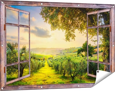 Gards Tuinposter Doorkijk Olijvenbomen - Olijvengaard - 120x80 cm - Tuindoek - Tuindecoratie - Wanddecoratie buiten - Tuinschilderij
