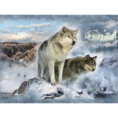 Diamant schilderij Wolf diamant borduurwerk volledige weergave Winter dieren foto steentjes Diamond Art 20X30CM gray
