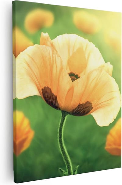 Artaza Canvas Schilderij Bloemen - 40x50 cm - Wanddecoratie Klaproos - Muurdecoratie Woonkamer - Kamer Accessoires