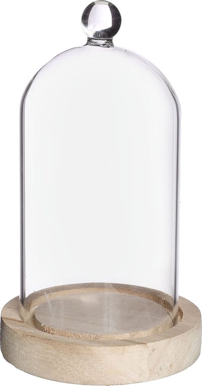 Glazen stolp met glazen knop met houten basis Ø10 h.17 cm (1 st)