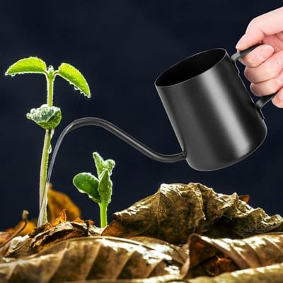 GELLDG Kleine gieter - Gieter met lange tuit van roestvrij staal - Zwarte tuingieter, voor het besproeien van kamerplanten - Geschikt voor buitenplanten en vetplanten - 250 ml