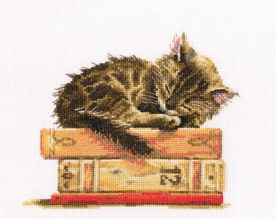 RTO - Borduurpakket met telpatroon - 26.M642 - Voorgesorteerde DMC Garens - Slapende kitten - Aida - 19.5 cm x 16.5 cm - DIY Kit