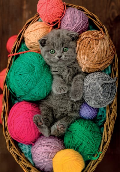 Clementoni Legpuzzel Fluffy Kitten - Puzzel 500 Stukjes Katten - High Quality Collection - Puzzels en Legpuzzels voor Volwassenen