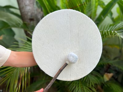 LIDAH® Sjamanendrum - 40cm Traditioneel Gevacht - Sjamaanse Shaman Drum - Sjamanen Percussie voor Volwassenen - Spirituele Sjamaan Trommel