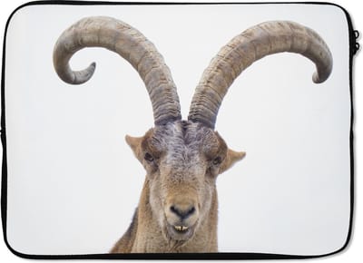 Laptophoes 14 inch - Steenbok - Dieren - Hoorn - Laptop sleeve - Binnenmaat 33x23 cm - Zwarte achterkant