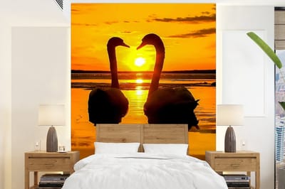Behang - Fotobehang Zwanen - Zonsondergang - vogel - Oranje - Water - Breedte 175 cm x hoogte 240 cm