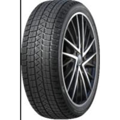 Winter Pro TSS1