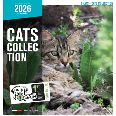 Kalender Martin Sellier Chats