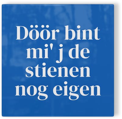 Tegeltje Zwolle Döör bint mi' j de stienen nog eigen - blauw wit - tegeltje stad - tegeltje met tekst