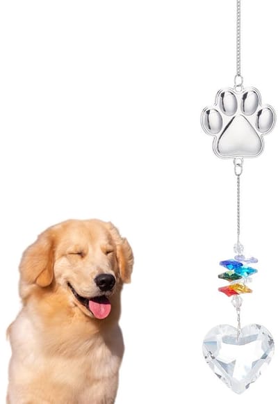 Dailygoods - Herdenkingsgeschenken - Gedenkteken huisdieren - Condoleancegeschenk honden en katten - Regenboogbrug zonvanger - Glas - Geschikt voor hu...