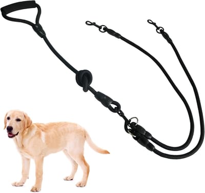 Verstelbare 2-in-1 Hondenriem, Lichtgewicht en Afneembaar, Ideaal voor Wandelen, Joggen en Training van Kleine en Middelgrote Honden