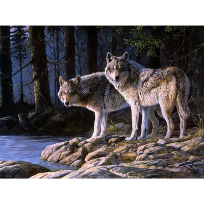 Volledige ronde boor diamant borduurwerk Wolf door de rivier DIY diamant schilderij kruissteek strass 20X30CM gray