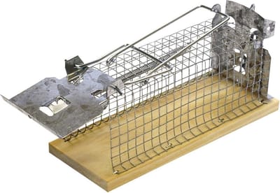 Swissinno Mouse Classic Niet dodelijke val 1 stuk(s)