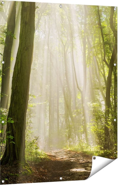 Gards Tuinposter Bos met Bomen en Zonneschijn - 90x120 cm - Tuindoek - Tuindecoratie - Wanddecoratie buiten - Tuinschilderij