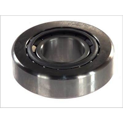 Lager, ingaande as (differentieel) DT Spare Parts 1.16041