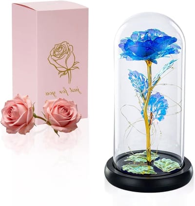 Eternal Rose in Glazen Kooi met LED Verlichting - Romantisch Cadeau voor Verjaardag, Valentijnsdag en Trouwerij voor Haar