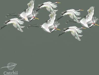 Behang staal Flying Cranes groen