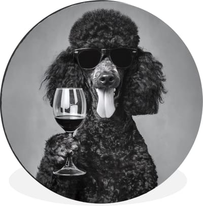 WallCircle - Wandcirkel - Muurcirkel - Hond - Krullen - Zonnebril - Wijn - Aluminium - Dibond - 30x30 cm - Binnen en Buiten