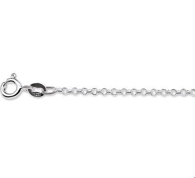 Zilveren Collier jasseron 2 1018112 38 cm
