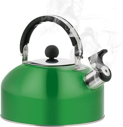 Theeketel - Waterkoker fluitketel - Water koken - Praktische fluitfunctie - 18 liter - Lichtgroen