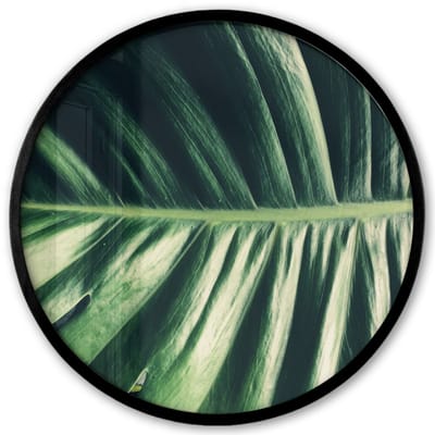 Poster in lijst Rond - Fotolijst 40x40 cm - Posters - Tropisch - Natuur - Jungle - Ronde posterlijst zwart - Decoratie - Wanddecoratie woonkamer - Muurdecoratie slaapkamer