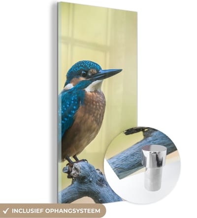 MuchoWow® Glasschilderij 20x40 cm - Schilderij acrylglas - IJsvogel - Tak - Vogel - Foto op glas - Schilderijen