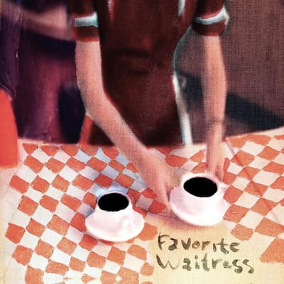 Favorite Waitress - The Felice Brothers