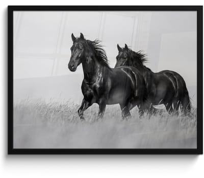 Poster in lijst - Fotolijst 80x60 cm - Posters - Paarden - Gras - Zwart - Wit - Posterlijst zwart - Decoratie - Wanddecoratie woonkamer - Muurdecoratie slaapkamer