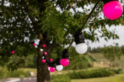 HappyLights lichtsnoer buiten [Outdoor] Pink Blossom- 10 LED's - 5m