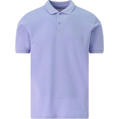 The BLUEPRINT Premium Polo Heren Blauw